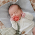 Fotoja e FRIGG Daisy Natural Rubber Pacifier 2 Pack - Pink Cream/Poppy, Picture 3