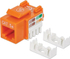 Fotoja e Fole rrjeti Intellinet Network Solutions Cat.5e, UTP, RJ45, portokalli, Picture 1