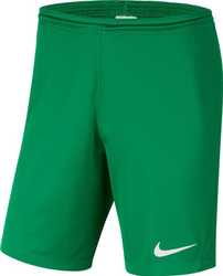 Fotoja e Pantallona të shkurtra Nike JR Park III Knit 302, 140 cm, të gjelbra