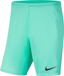 Fotoja e Pantallona të shkurtra për meshkuj Nike JR Park III Knit, 164 cm, të gjelbra