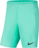 Fotoja e Pantallona të shkurtra për meshkuj Nike JR Park III Knit, 164 cm, të gjelbra, Picture 1