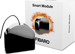 Fotoja e Ndërprerës Fibaro FGS-214 ZW5, i zi