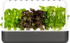 Fotoja e Vazo për rritje të bimëve Click & Grow, Smart Garden 9, e hirtë, Picture 1