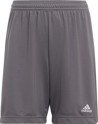 Fotoja e Shorce për fëmijë Adidas, Entrada 22, 12 cm, të hirta