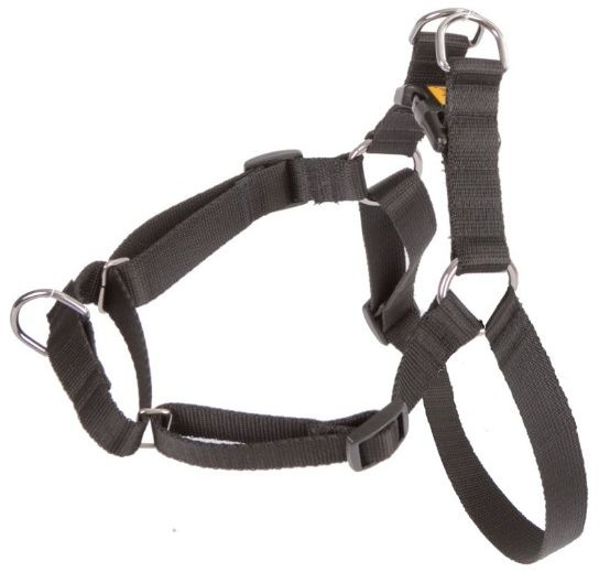 Fotoja e Pazmore Dingo Easy Walk, 95-125cm, e zezë