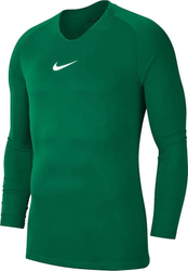 Fotoja e Bluzë sportive Nike Team 2019, XL, e gjelbër