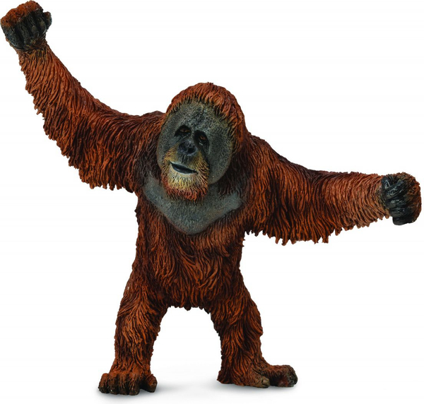 Fotoja e Figurë Collecta Orangutan, +3 vjeç