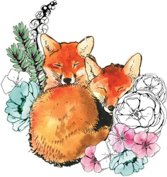 Fotoja e Kartolinë Clear Creation Swarovski Foxes
