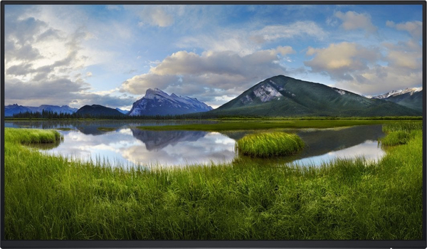 Fotoja e Monitor Dell P2425H Professional, 23.8", FHD, i zi