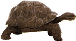 Fotoja e Figurë Russell - Breshka Galapagos