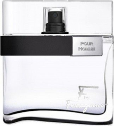 Fotoja e Eau de Toilette Salvatore Ferragamo F By Ferragamo Black, 100 ml
