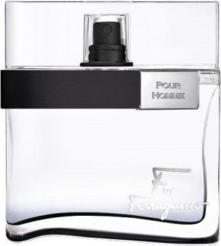 Fotoja e Eau de Toilette Salvatore Ferragamo F By Ferragamo Black, 100 ml