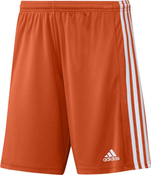 Fotoja e Shorce për meshkuj Adidas SQUADRA 21, M, portokalli