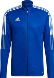Fotoja e Duks për meshkuj Adidas TeamWear 2022, 2XL, i kaltër