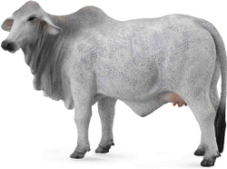Fotoja e Figurë Collecta: Lopa Brahman, 14.5x5x8 cm, +3 vjeç