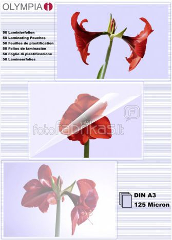 Fotoja e Fletë laminimi Olympia, DIN A3, 125 mikron (9175)