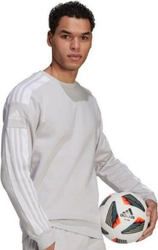 Fotoja e Duks për meshkuj Adidas Squadra 21 Sweat Top GT6640, L, i hirtë