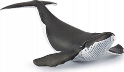 Fotoja e Figurinë Papo: Young Humpback Whale