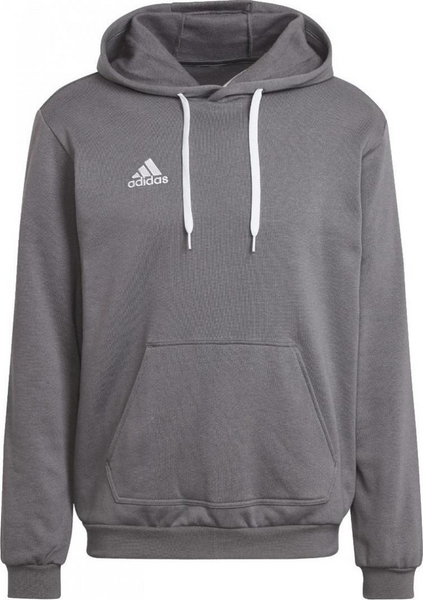 Fotoja e Duks për meshkuj Adidas Entrada 22 HB0578, M, i hirtë