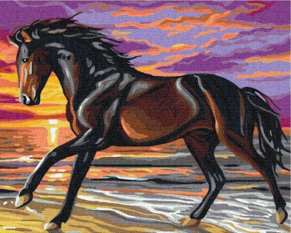 Fotoja e Pikturë me numra Symag, Image Paint it, 40 x 50 x 1,5 cm
