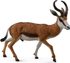 Fotoja e Figurë Collecta - Dhia e egër Springbok, Picture 1