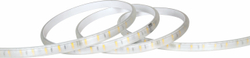Fotoja e Led Shirit 220V 120Led/m, 6500K