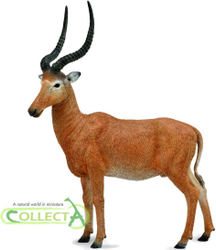 Fotoja e Lodër figurë Collecta 004-88757, Hirola, KAFE