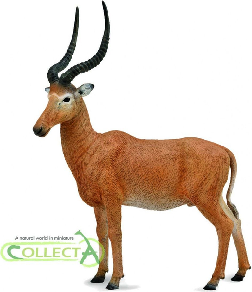 Fotoja e Lodër figurë Collecta 004-88757, Hirola, KAFE