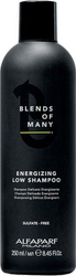 Fotoja e Shampo për flokë Alfaparf Blends Of Many, 250ml