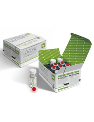 Fotoja e Papaina - Grow Inhibitor  1 copë 10ml