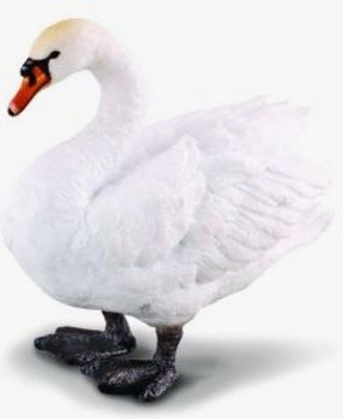 Fotoja e Figurë mjellme Collecta Mute, e bardhë