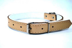 Fotoja e Çafore për qen Chaba LEATHER, 22mm/60cm, bezhë