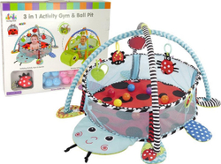 Fotoja e Shtrojë për argëtim për fëmijë LeanToys Ladybug
