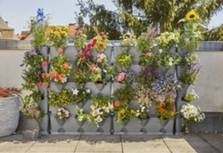 Fotoja e Seti për ujitje Gardena NatureUp!, nga rezervuari i ujit