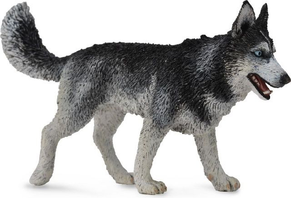 Fotoja e Figurë Collecta Siberian Husky (004-88707)