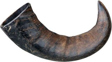 Fotoja e Lodër kafshimi për qen Trixie Buffalo Horn