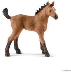 Fotoja e Figurinë kali Schleich (SLH 13854)