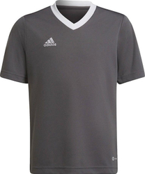 Fotoja e Maicë për fëmijë Adidas Entrada 22 JSY Y, 116 cm, e hirtë