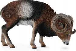 Fotoja e Figurë Collecta European Mouflon, +3 vjeç