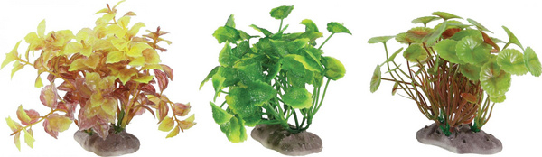 Fotoja e Bimë artificiale Zolux Display Plant S Set B, 6 copë