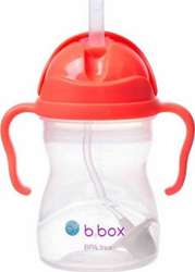 Fotoja e Biberon për fëmijë B.Box Innovative Watermelon, 240 ml, e kuqe