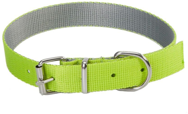 Fotoja e Qafore për qen Dingo Energy Silver, 43-49 cm, e gjelbër