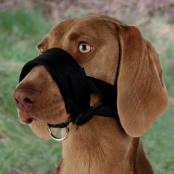 Fotoja e Maskë për qen Trixie Nylon, L, e zezë