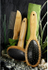 Fotoja e Krehër Zolux Double ''Bamboo'', i vogël, Picture 3