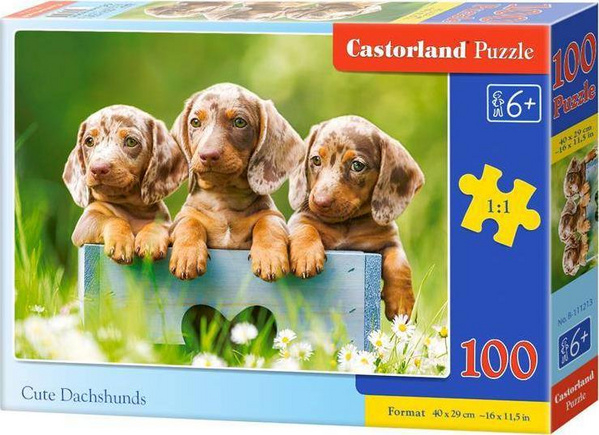 Fotoja e Puzzle Castorland, 100 elemente, 6+
