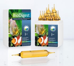 Fotoja e Ampulla për akuarium Prodibio BioDigest PRO 10