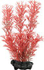 Fotoja e Bimë artificiale për akuarium Tetra DecoArt Foxtail, 22 cm, e kuqe, Picture 2
