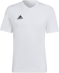 Fotoja e Bluzë për meshkuj Adidas, 1907515-21174290, XL