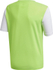 Fotoja e Maicë futbolli për fëmijë Adidas Estro 19 JSY Y GH1663, 164 cm, e gjelbër, Picture 2