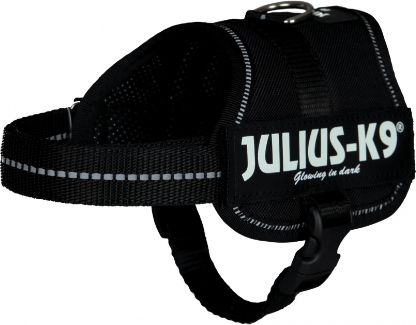 Fotoja e Rrip Trixie Julius-K9, Mini-Mini/S: 40–53 cm, i zi
